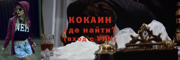 прущие грибы Волоколамск
