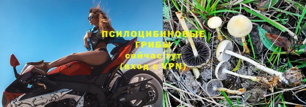 меф Володарск