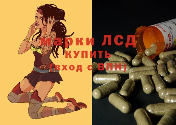 прущие грибы Волоколамск