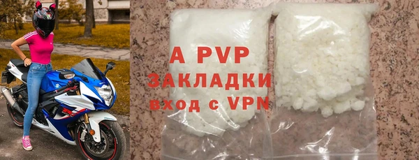 прущие грибы Волоколамск