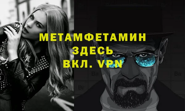 прущие грибы Волоколамск