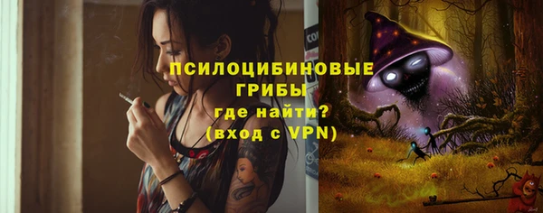 прущие грибы Волоколамск
