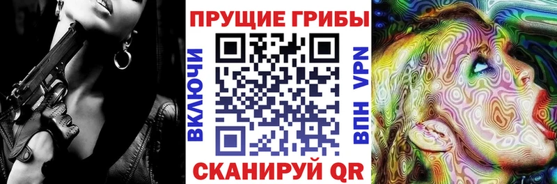 цена   ссылка на мегу   Псилоцибиновые грибы Psilocybine cubensis  Курган 